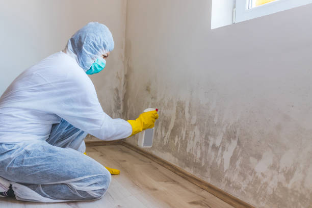 Mold inspector in Windsor performing thermal imaging