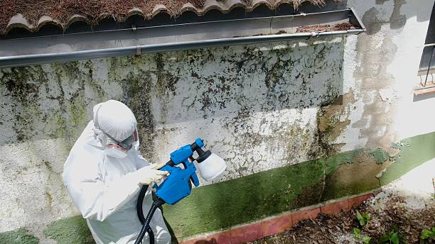 Clearance testing in Windsor